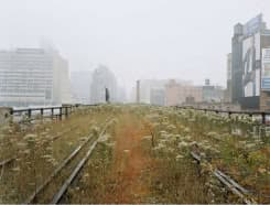 High_line-Nueva-York-7