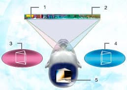 parallax-barrier-system