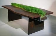 Una mesa muy verde