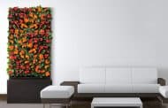 SmartWall: para decorar con plantas las paredes