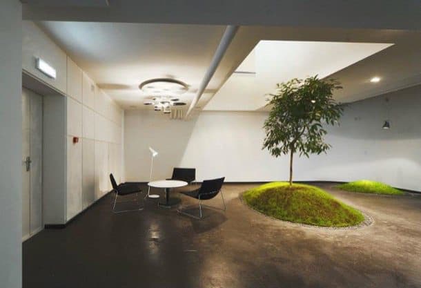 Decoracion-Oficinas-con-colina-arbol