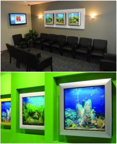 paredes decoradas con acuario Aquavista