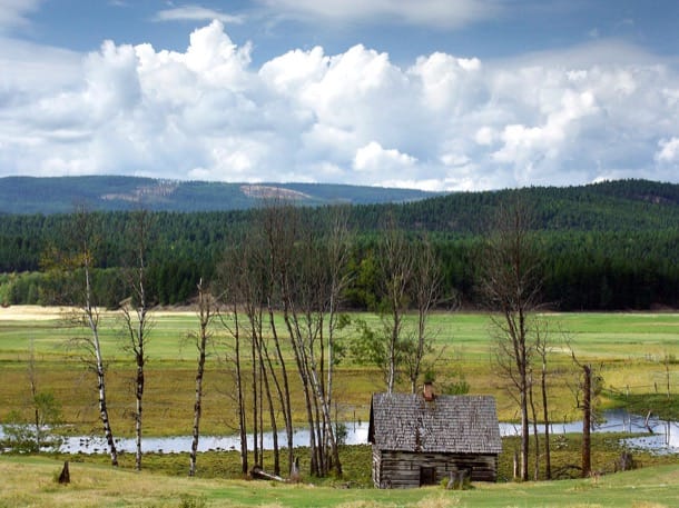 cabaña de troncos en Montana