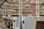 renovacion sala oval Biblioteca Nacional Francia